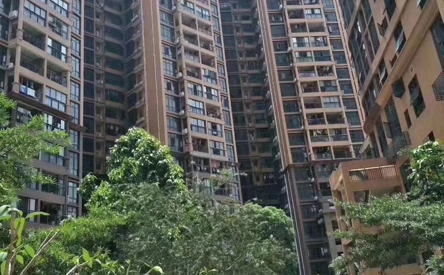 罗湖(hú)大型花(huā)园社區(qū)-湖(hú)畔山(shān)庄 11栋双地铁合围花(huā)园带地下三